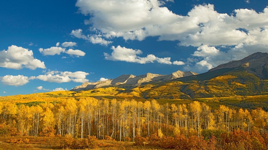 Gunnison National Forest, Colorado - desktop wallpaper