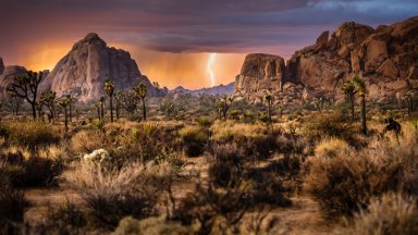 Lightning Storm, Joshua Tree NP, CA - desktop wallpaper