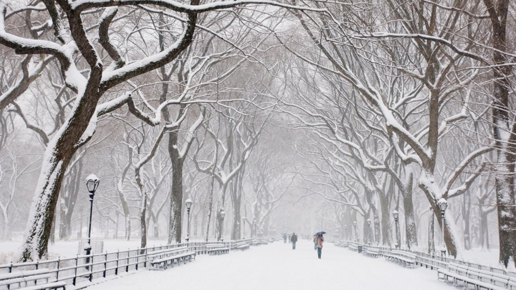 Central Park, New York City, NY - desktop wallpaper