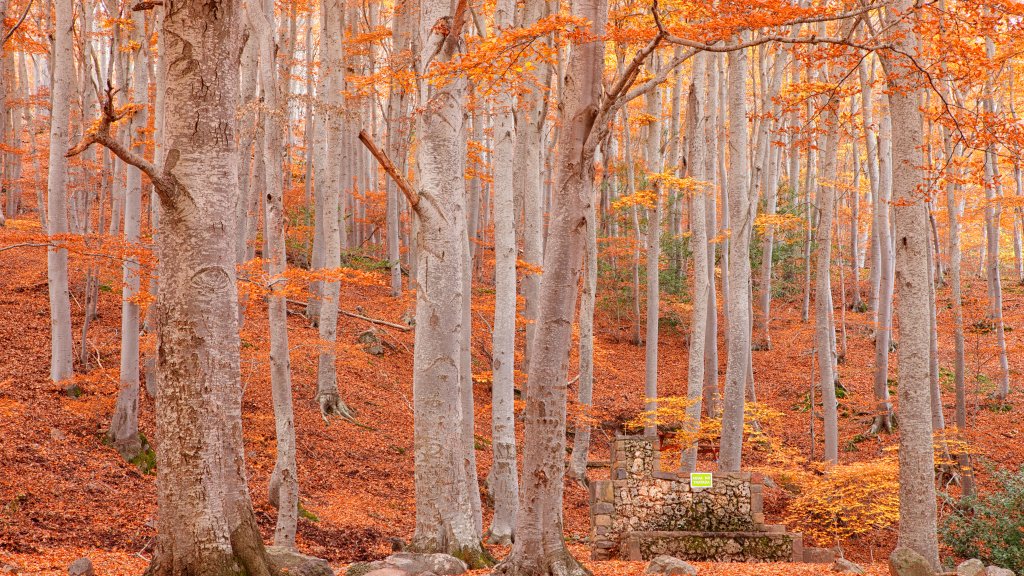 Moncayo Natural Park, Zaragoza, Spain - desktop wallpaper