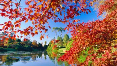 Sheffield Park Garden, East Sussex, England - desktop wallpaper