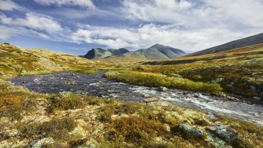 River Storula, Rondane NP, Oppland, Norway - desktop wallpaper