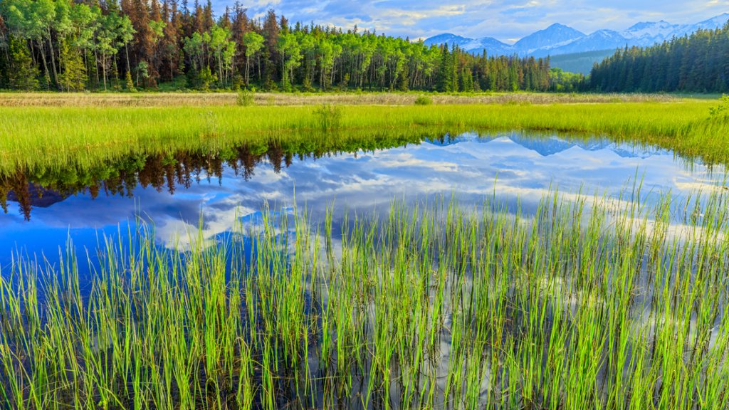 Victoria Cross Range, Jasper National Park, Canada - desktop wallpaper
