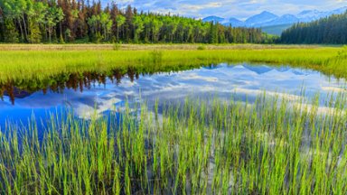 Victoria Cross Range, Jasper National Park, Canada - desktop wallpaper