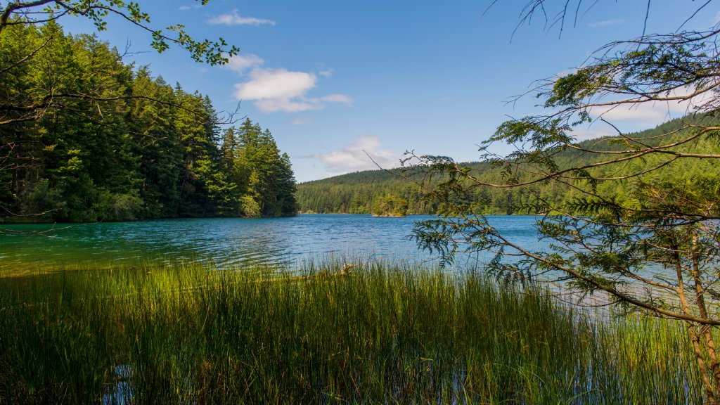 Moran State Park, Orcas Island, San Juan Islands, WA - desktop wallpaper