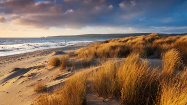 Sand Dunes, Studland Bay, Jurassic Coast, UK - desktop wallpaper