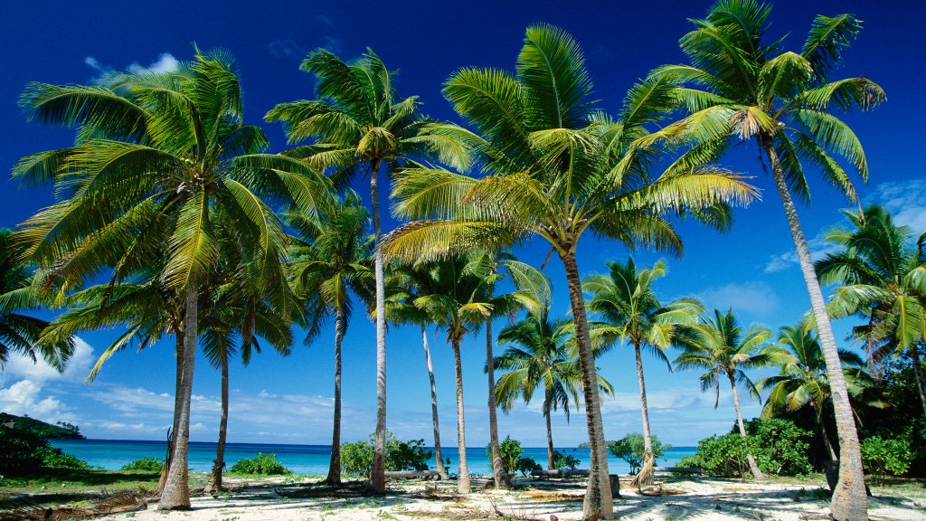 Taunga, Tonga - desktop wallpaper