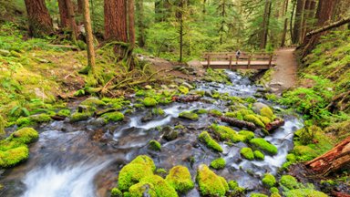 Sol Duc River, Olympic National Park, WA - desktop wallpaper