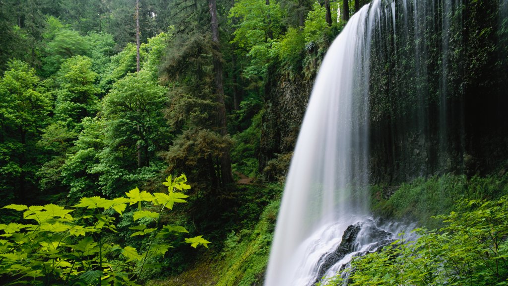 Middle North Falls, Silver Falls State Park, Oregon, - desktop wallpaper