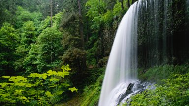 Middle North Falls, Silver Falls State Park, Oregon, - desktop wallpaper