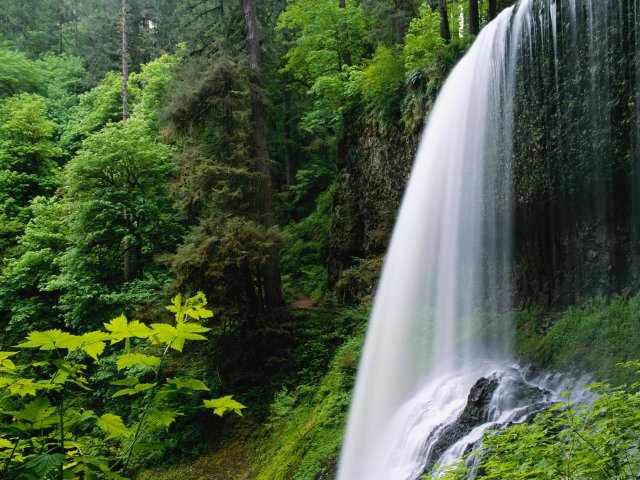 640x480.jpg