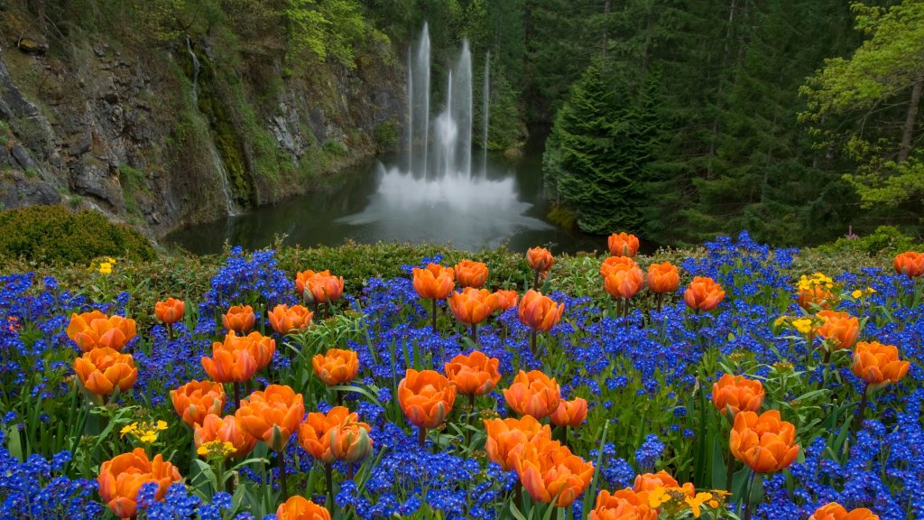 Ross Fountain, Butchart Gardens, BC, Canada - desktop wallpaper