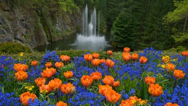 Ross Fountain, Butchart Gardens, BC, Canada - desktop wallpaper