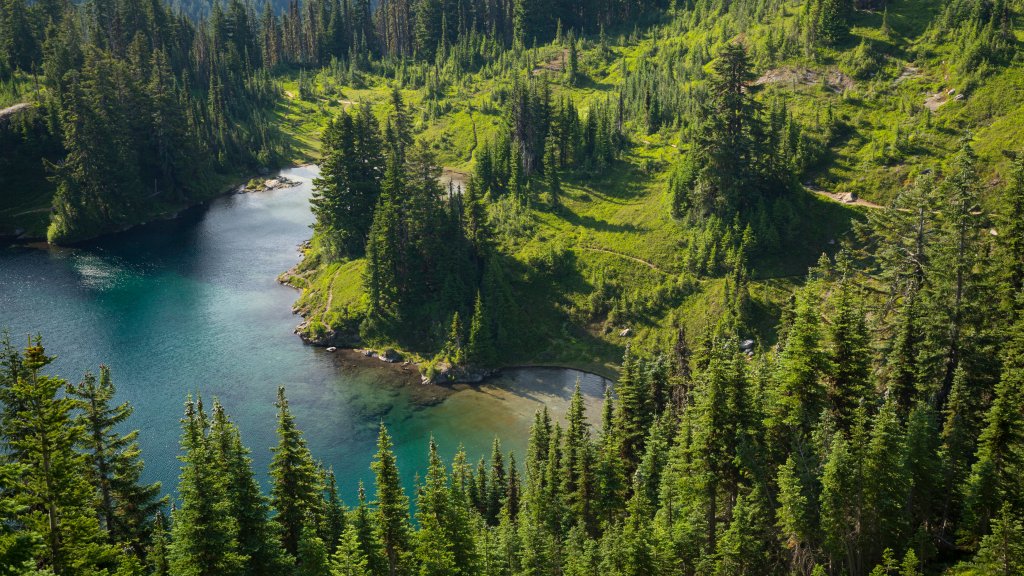 Eunice Lake, Mt. Rainier National Park, WA - desktop wallpaper