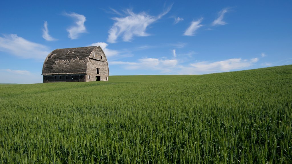 Old Barn in Wheat Field, Palouse Country, Pullman, WA - desktop wallpaper