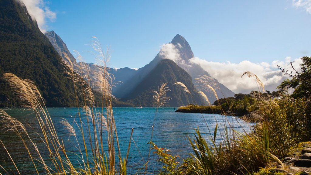 Mitre Peak, Fiordland National Park, NZ - desktop wallpaper