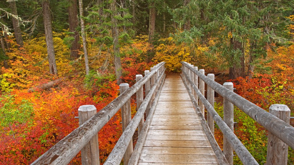 McKenzie River Trail, Willamette National Forest, OR - desktop wallpaper
