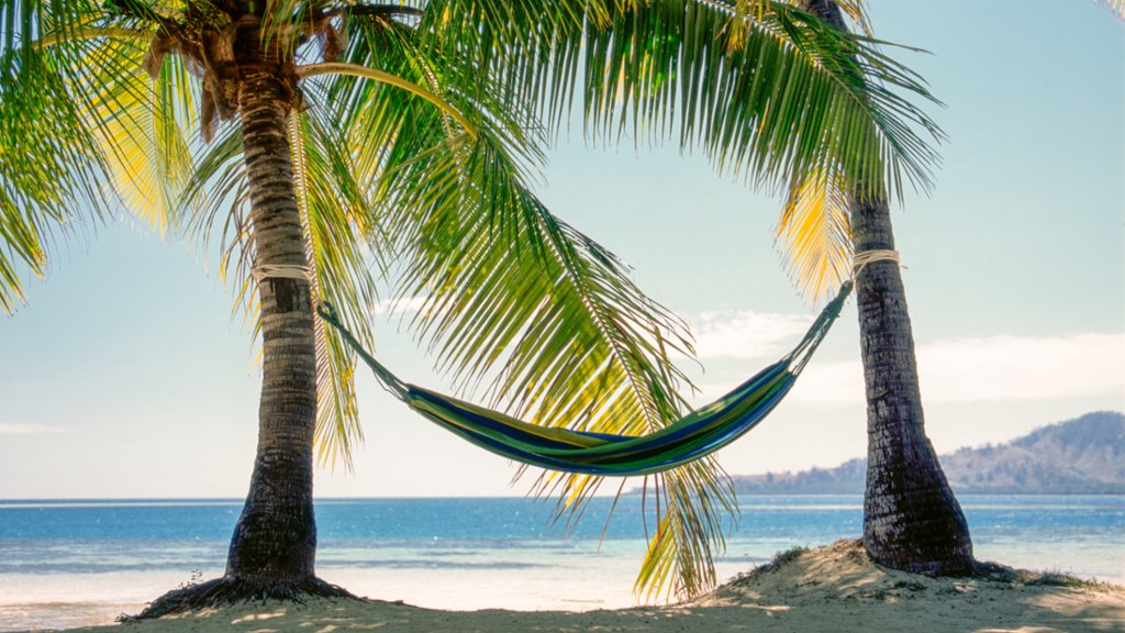 Fiji - desktop wallpaper