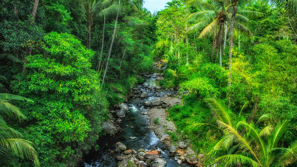 Java, Indonesia - desktop wallpaper