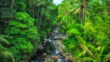 Java, Indonesia - desktop wallpaper