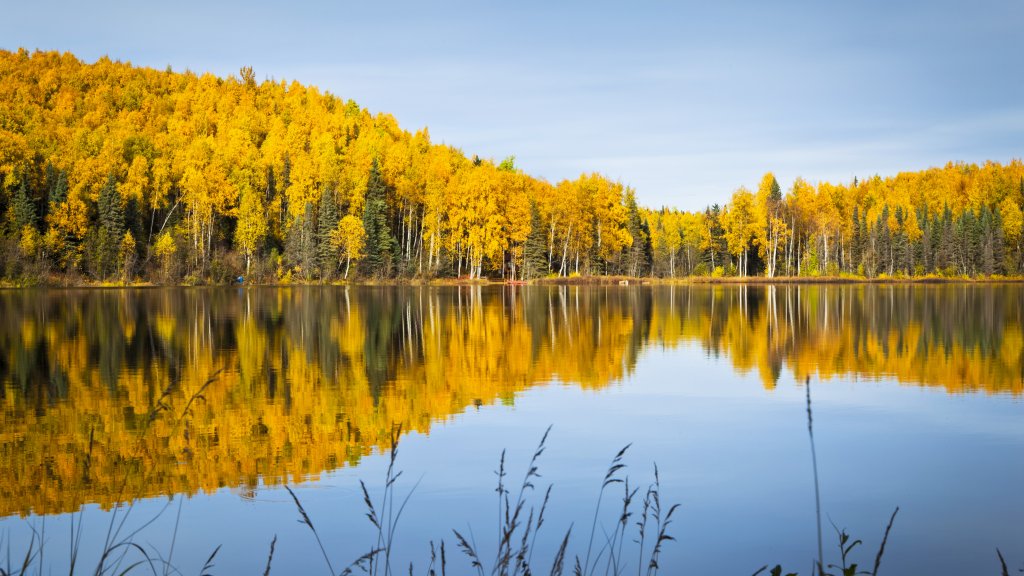 Nancy Lake, Nancy Lake State Recreation Area, AK - desktop wallpaper