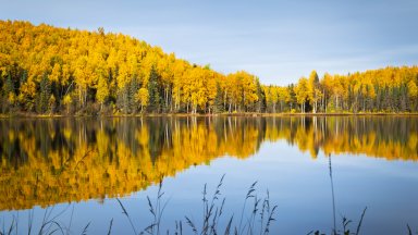Nancy Lake, Nancy Lake State Recreation Area, AK - desktop wallpaper