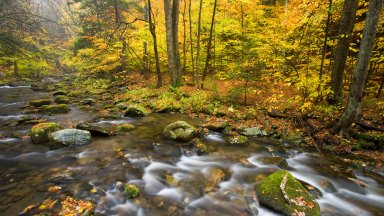 Sanderson Brook, Chester-Blanford State Forest, MA - desktop wallpaper