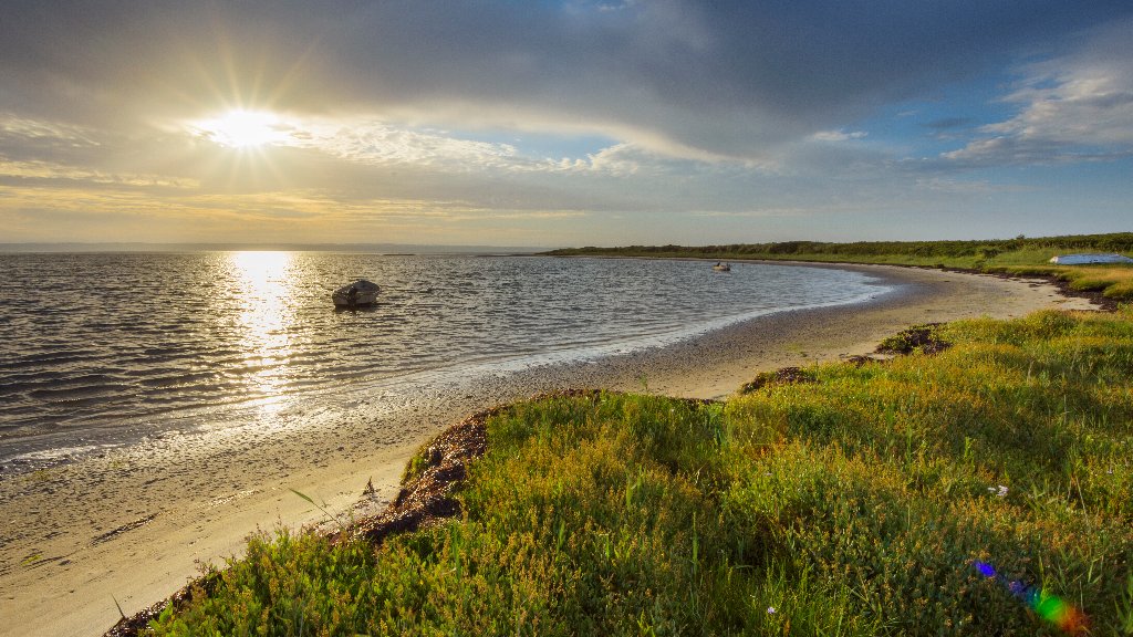 Thy NP, Agger, North Jutland, Denmark - desktop wallpaper