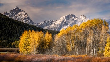 Mt. Moran from Oxbow Bend, Grand Teton NP, WY - desktop wallpaper