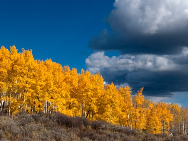 640x480.jpg