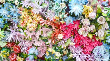 Flower Display, Palacio Belmonte, Lisbon, Portugal - desktop wallpaper
