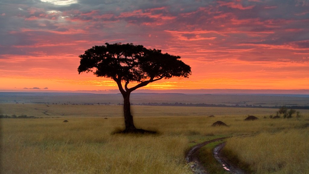 Maasai Mara National Reserve, Kenya - desktop wallpaper