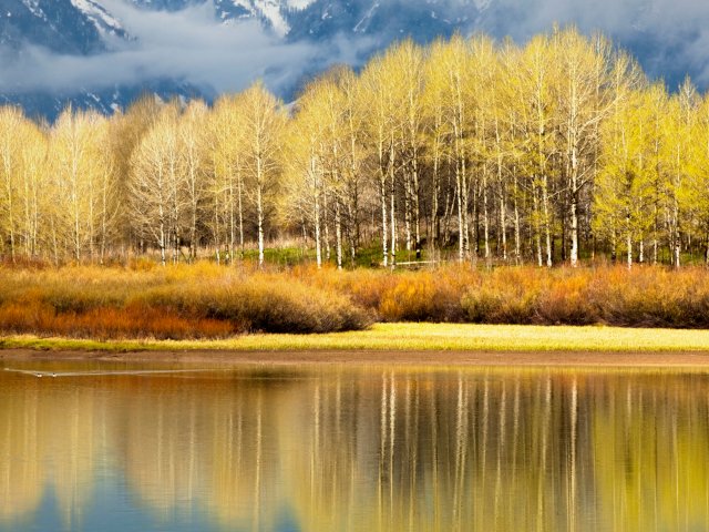 640x480.jpg