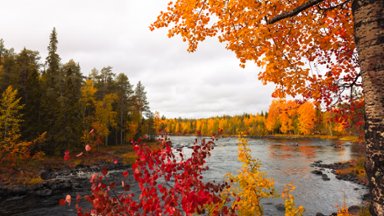 Vikakongas River, Rovaniemi, Finland - desktop wallpaper