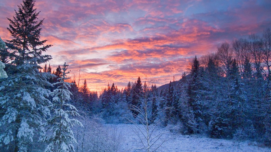 Flathead National Forest, Montana - desktop wallpaper