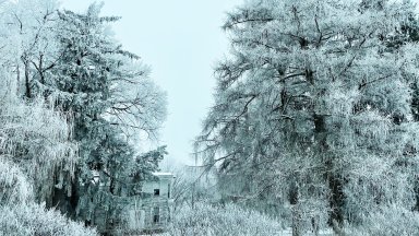 Ridgefield, Illinois - desktop wallpaper