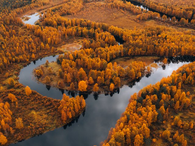 640x480.jpg