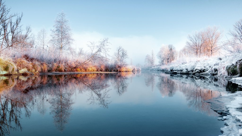 Hoarfrost Along the Bank of the Loisach River, Germany - desktop wallpaper