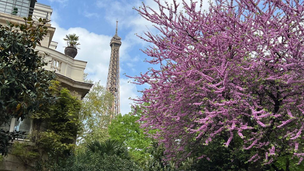 Champ de Mars, Paris, France - desktop wallpaper