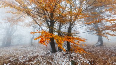 Ore Mountains, Czech Republic - desktop wallpaper
