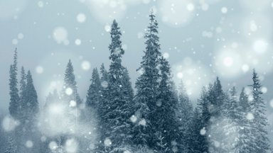 Wells Gray Provincial Park, BC, Canada - desktop wallpaper