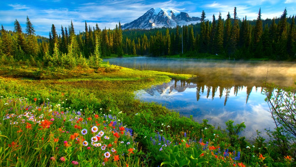 Mount Rainier National Park, Washington - desktop wallpaper