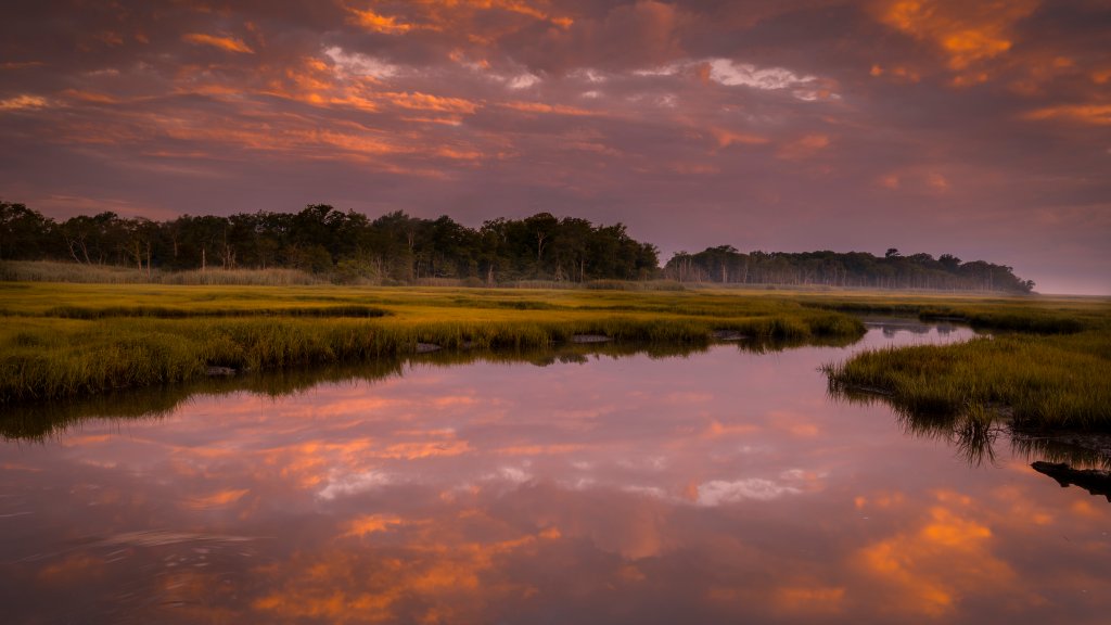 Cape May National Seashore, NJ - desktop wallpaper