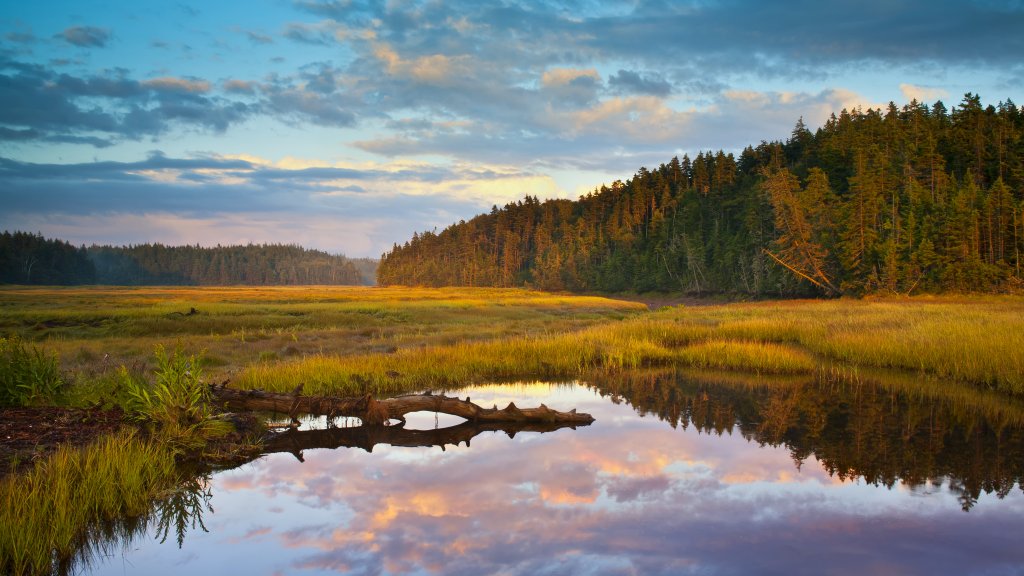 Chignecto Bay, Raven Head Wilderness, Nova Scotia - desktop wallpaper
