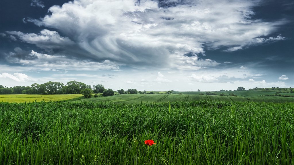 Countryside, Ostrowiec, Poland - desktop wallpaper