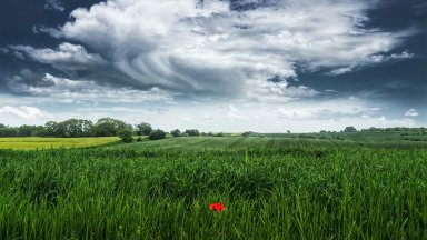 Countryside, Ostrowiec, Poland - desktop wallpaper