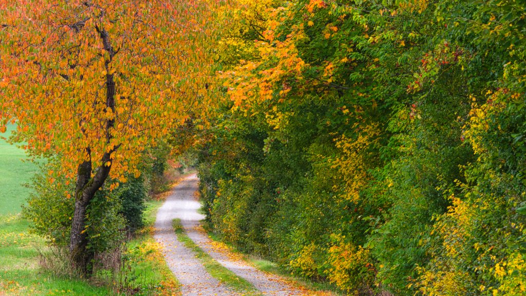 UNESCO SITE, Hessian Rhon Biosphere Reserve, Germany - desktop wallpaper