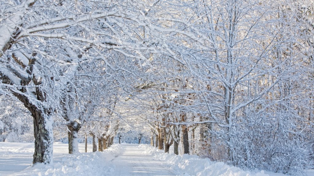 Bear Paw Road, Harpswell, Maine - desktop wallpaper
