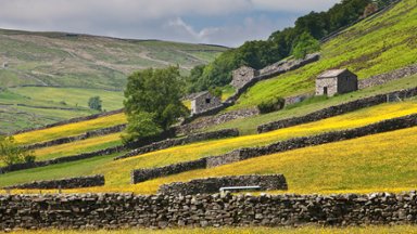 Drystone Walls and Stone Barns, Yorkshire Dales NP, UK - desktop wallpaper