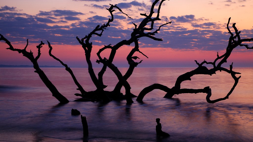 Driftwood Beach, Jekyll Island, GA - desktop wallpaper